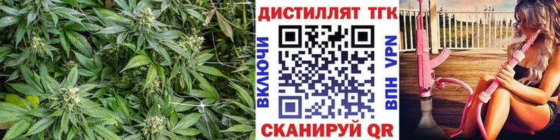 Купить где  Бокситогорск  ТГК вейп 